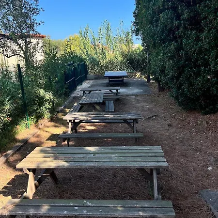- Bord De Dans Avec Piscine Daire *